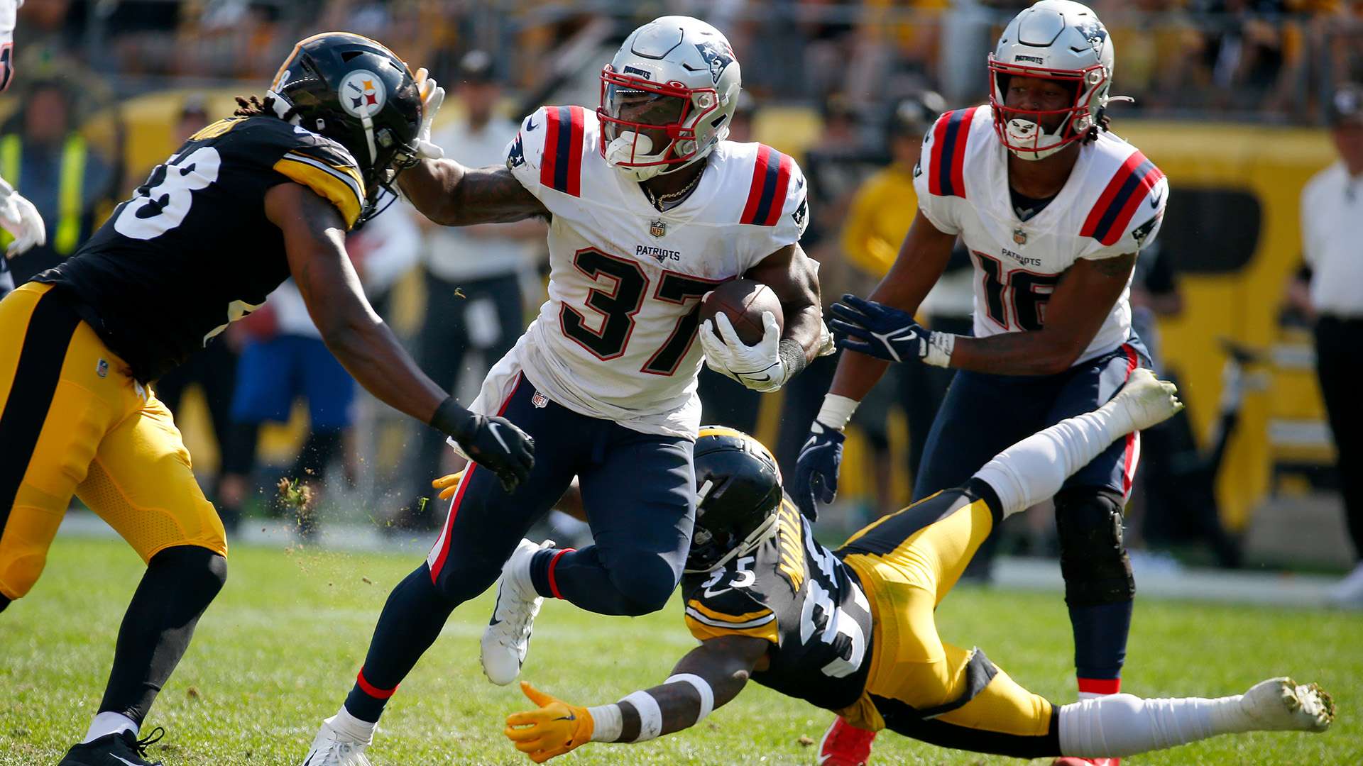 为世界带来 为世界带来