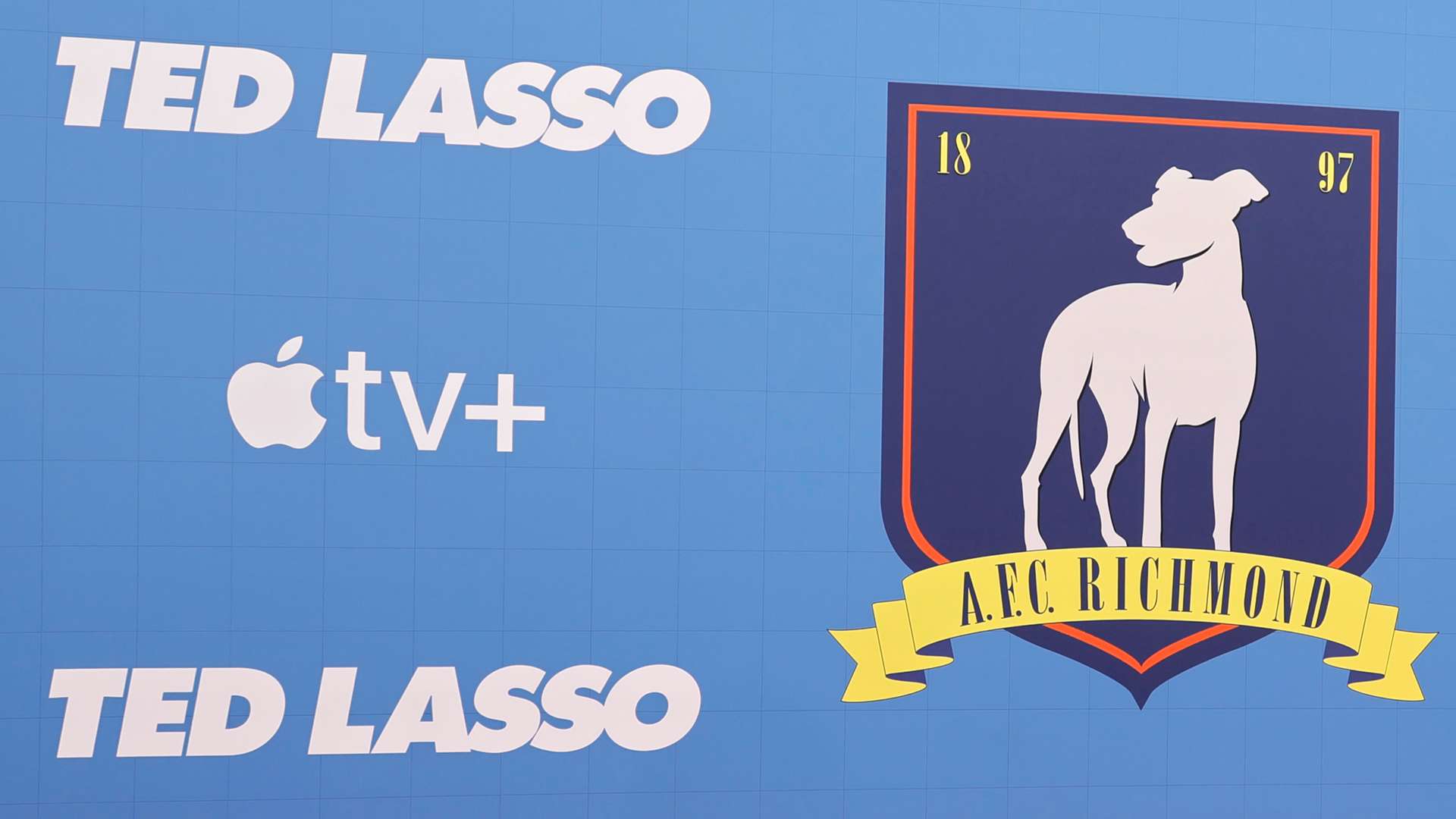 监管政策的 监管政策的