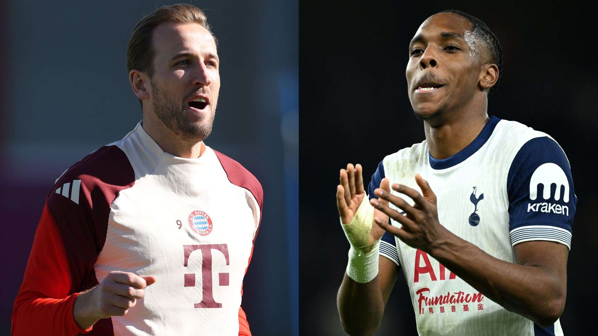 的技术指导 的技术指导